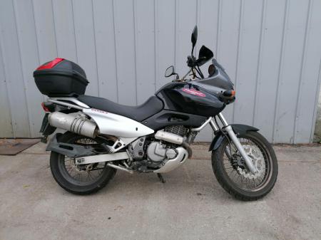 SUZUKI XF 650 Freewind