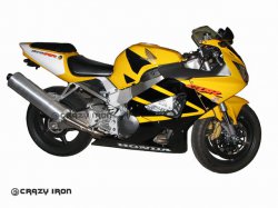 CRAZY IRON Слайдеры HONDA CBR929/954RR в ось маятника