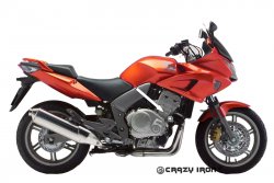 CRAZY IRON Слайдеры HONDA CBF1000 `06-`09