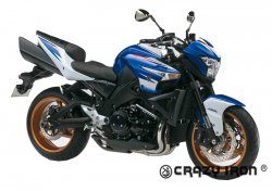 Слайдеры GSX 1300 BK B-King в ось заднего колеса