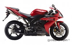 CRAZY IRON Слайдеры YAMAHA YZF-R1 `04-`06 в ось маятника