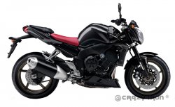 CRAZY IRON Слайдеры YAMAHA FZ1N, FZ1NA, FZ8N, FZ8NA